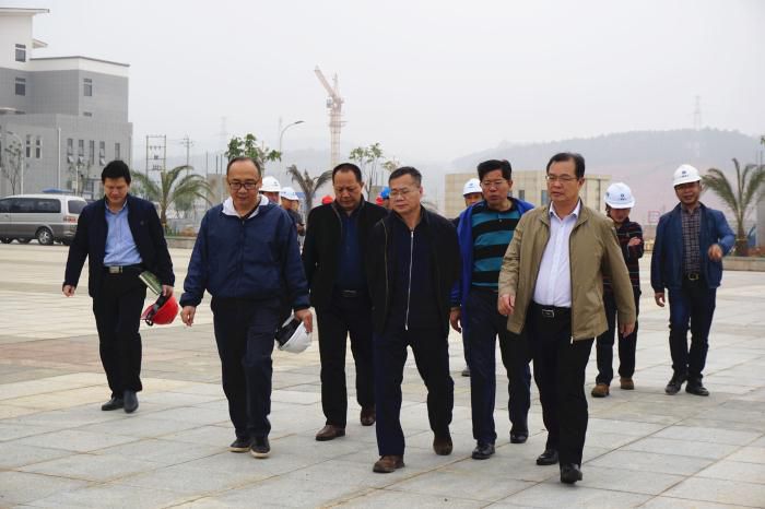 5.吴锡熹一行在项目落成区进行实地观察。谢微旋 摄700.jpg